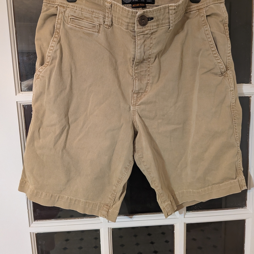 American Eagle Outfitters Tan Flat Front Men Shorts